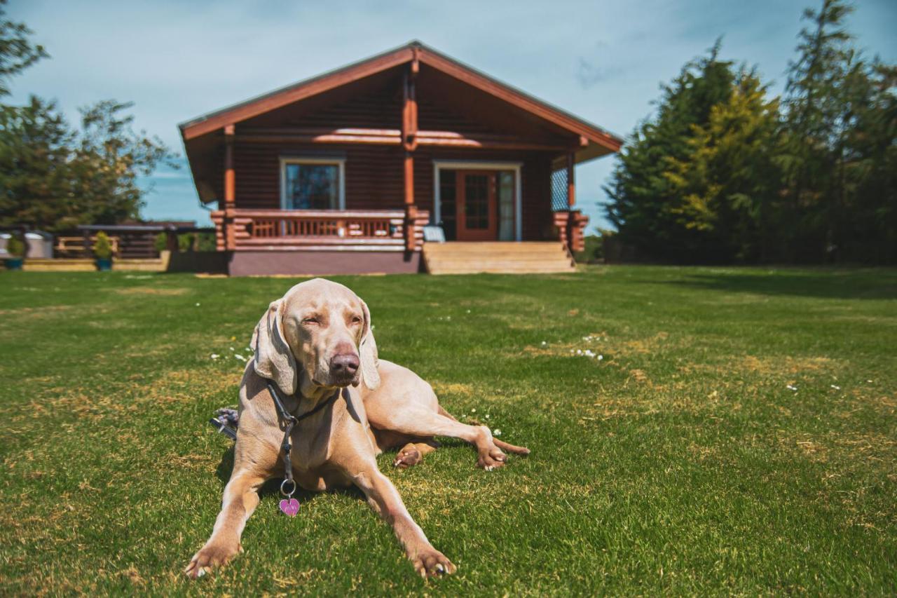 Tomatin - Luxury Two Bedroom Log Cabin With Hot Tub Berwick-upon-Tweed Exterior foto